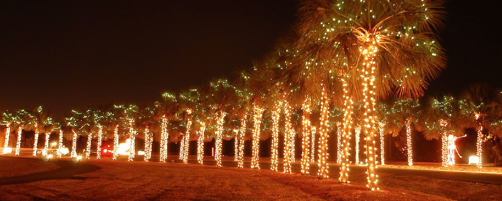 holiday festival of lights at james island county park holiday festival of lights at james island county park