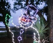 Hotel guest room in Charleston
