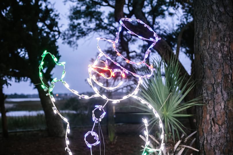 Hotel guest room in Charleston