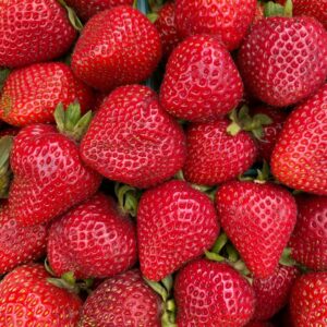 Lowcountry Strawberry Festival