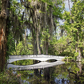 Charleston Magnolia Plantation White Bridge