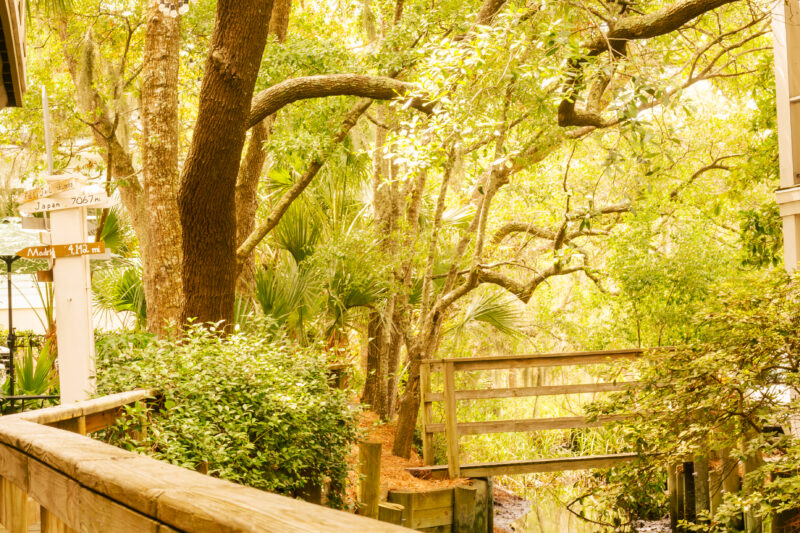 Shaded boardwalk through the inn’s gardens