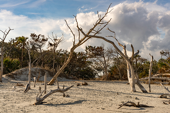 Folly Beach