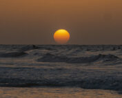 Waves at Folly Beach