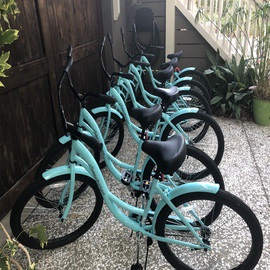 Rental Bicycles