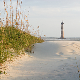 Lighthouse on the sandy beach surrounded by greenery growth